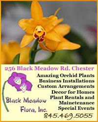 Black Meadow Flora