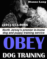 Obey Dog Training