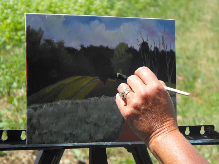 Exploring Creative Process with Plein Air Painters
