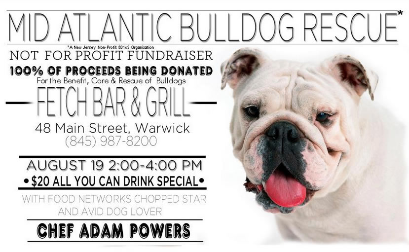 bulldog
