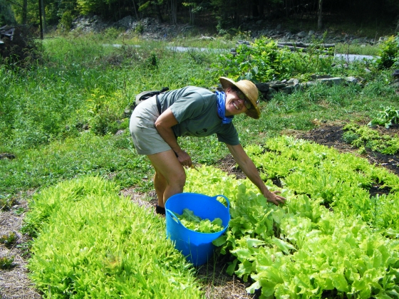 gardeningwithchildren.jpg