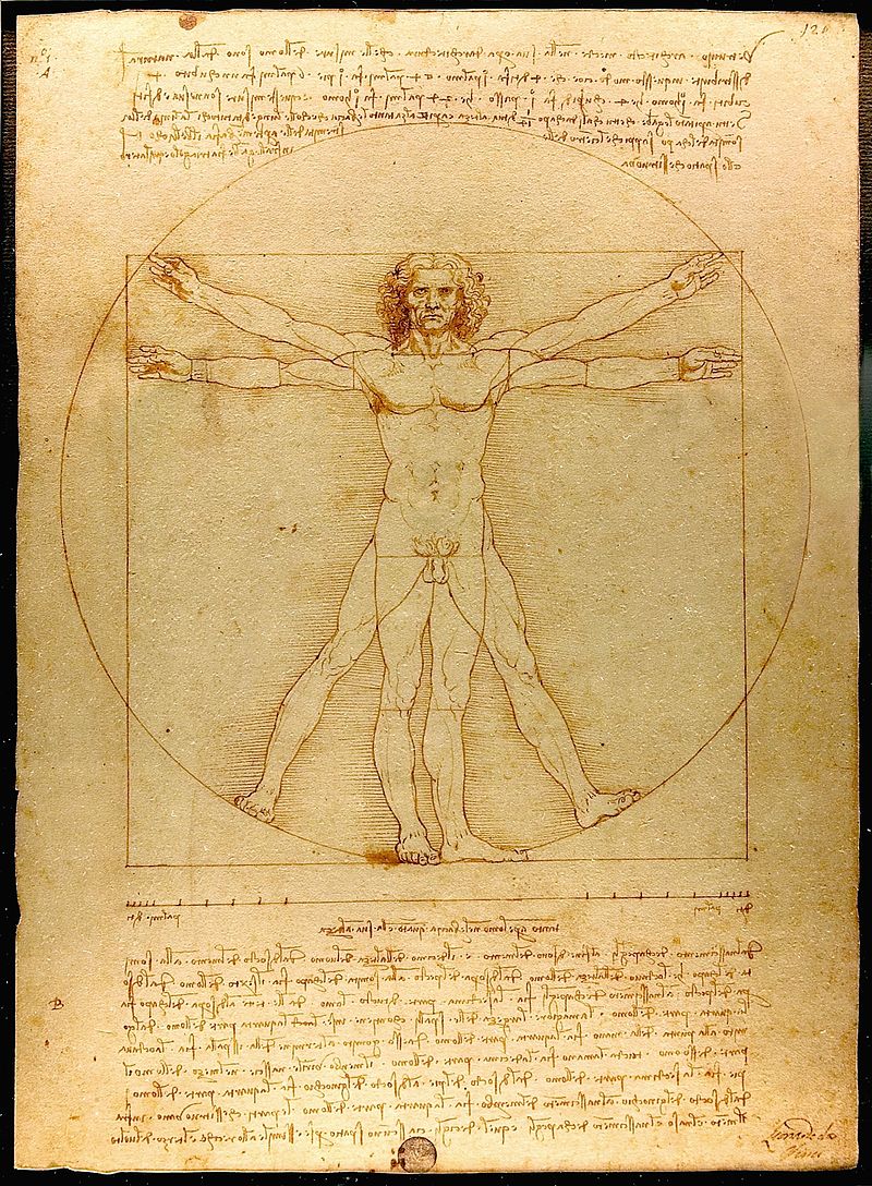 Leonardo Da Vinci's 'Vitruvian Man' vitruvianman2
